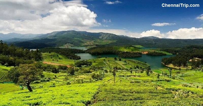 ooty